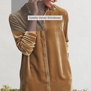 Velvet Shirtdress